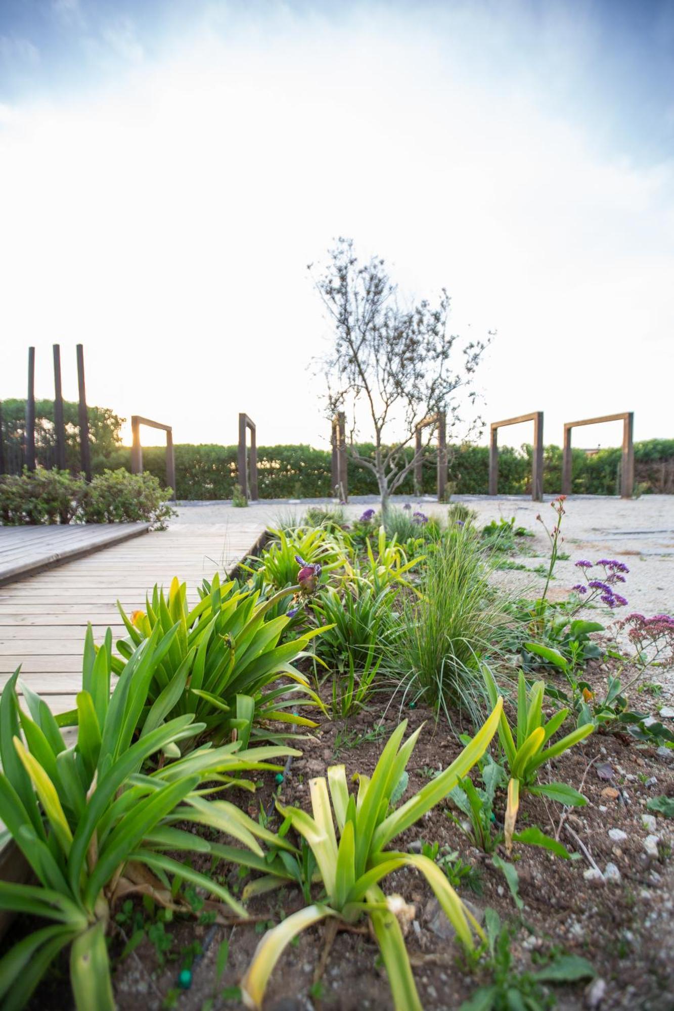 Villa Refugio de Lobos Pichilemu Exterior foto